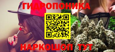 прущие грибы Малоярославец