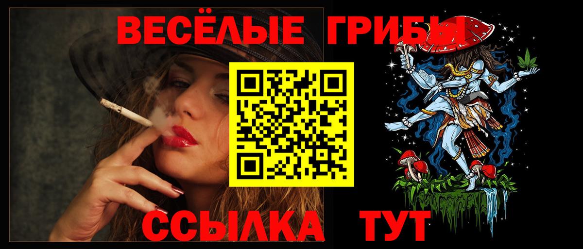 закладки  Вход с VPN  Протвино  Галлюциногенные грибы Cubensis 